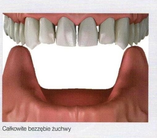 Niepubliczny Zakład Opieki Zdrowotnej RP Dent