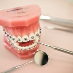 Dentaria