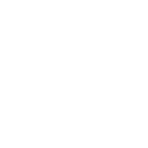 Anadent 2