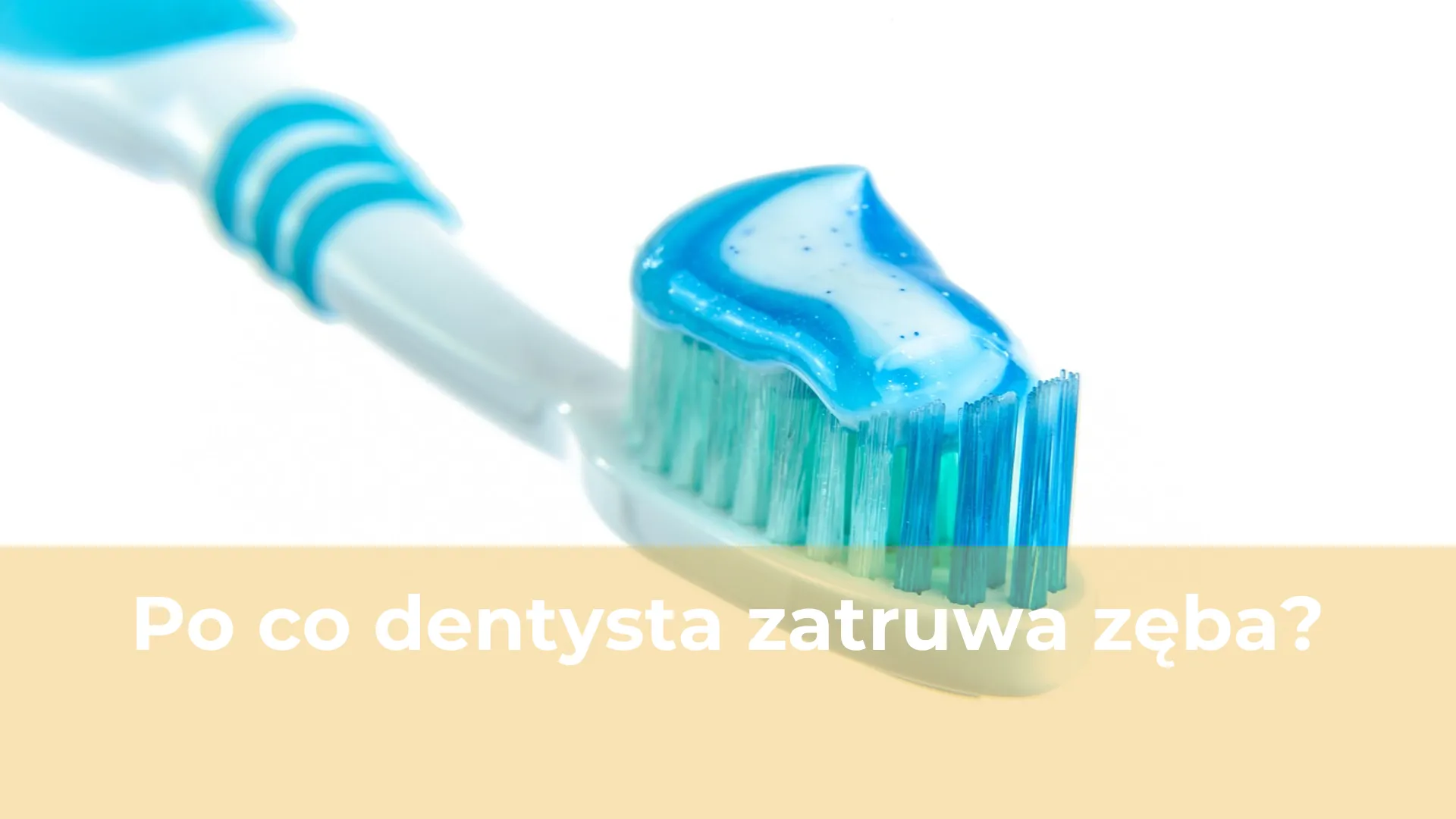 Specjalistyczny Gabinet Stomatologiczny "Dentysta"