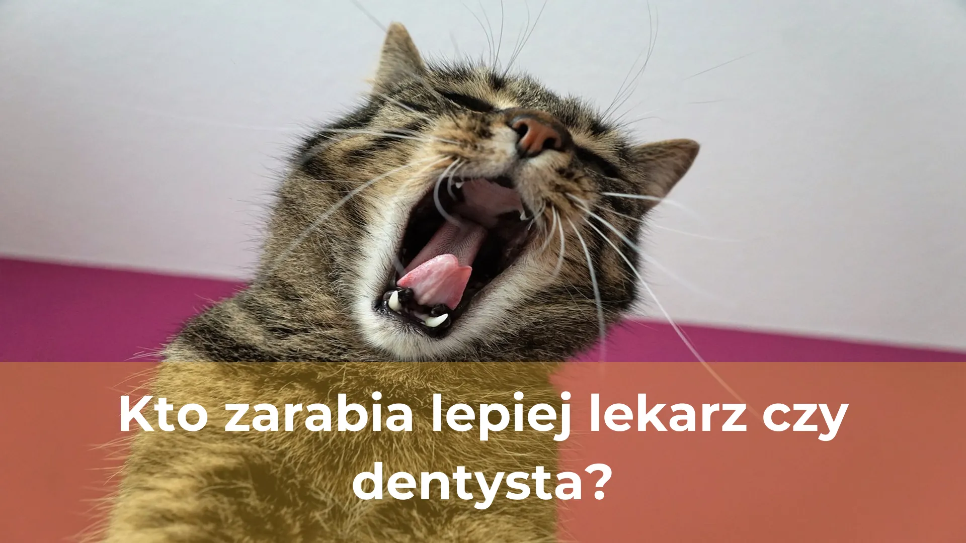 Specjalistyczny Gabinet Stomatologiczny "Dentysta"